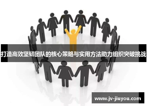 打造高效坚韧团队的核心策略与实用方法助力组织突破挑战