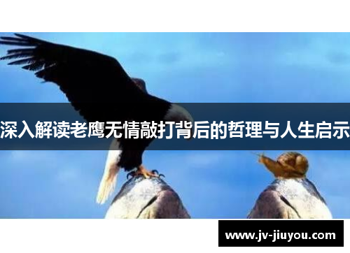深入解读老鹰无情敲打背后的哲理与人生启示 深入解读老鹰无情敲打背后的哲理与人生启示