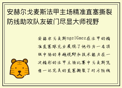 安赫尔戈麦斯法甲主场精准直塞撕裂防线助攻队友破门尽显大师视野